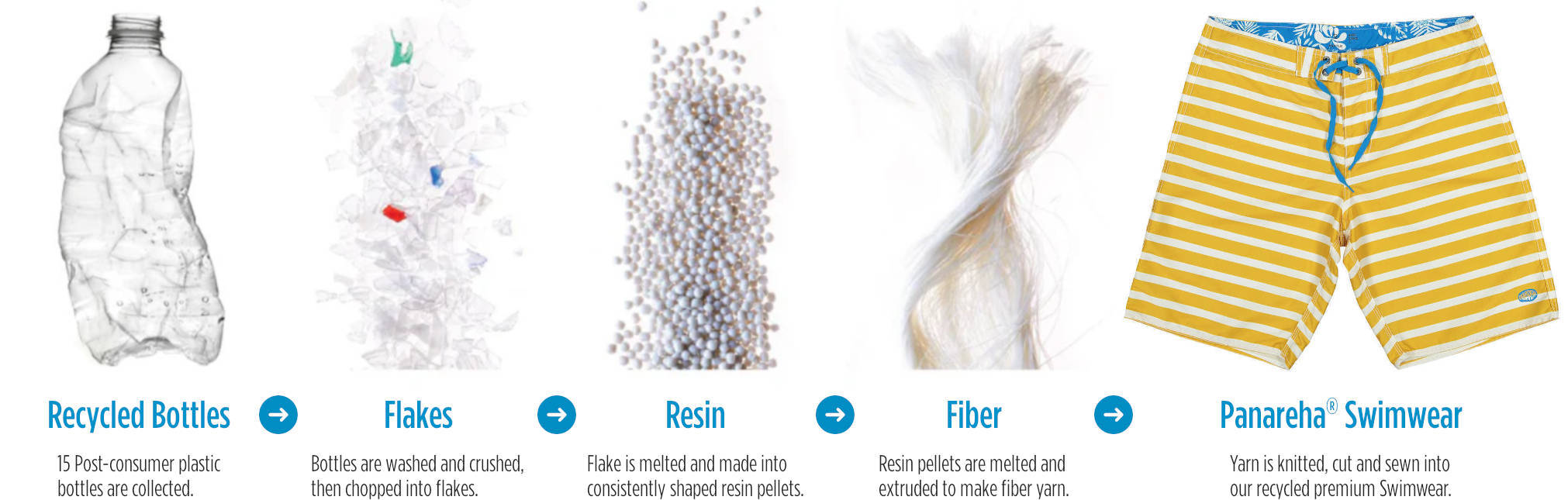 Panareha RPET Process